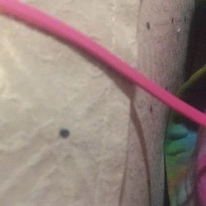 Meet your Posher, Ellen